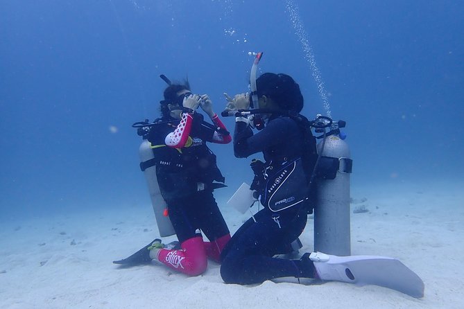 3-Day PADI Open Water Diver Course, Koh Samui - Certification and Training