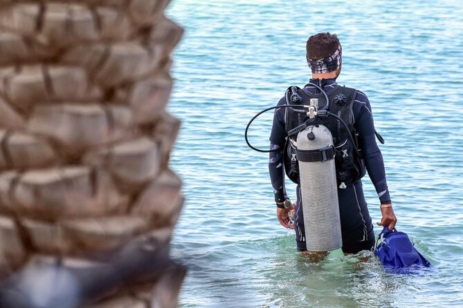 3-Day PADI Open Water Diving Course in Dubai - Open Water Dives