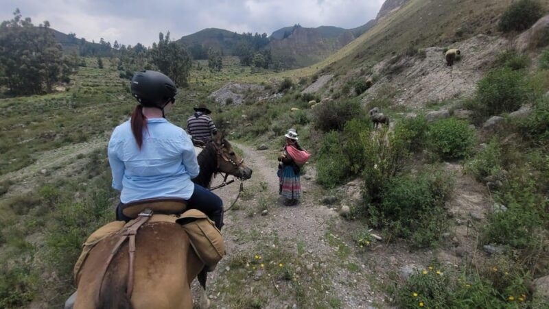 3 Day Peru Horseback Riding Colca Canyon (Private Service) - Excluded Services