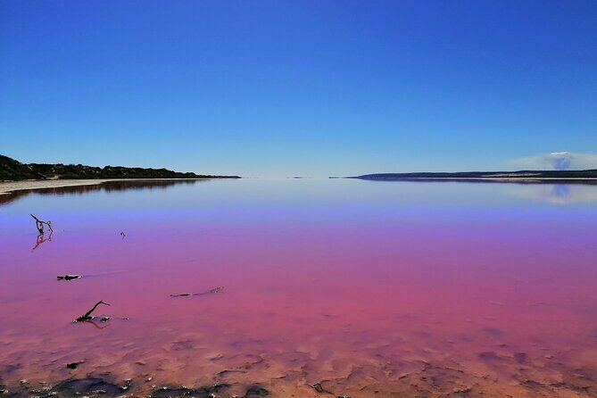 3 Day Pink Lake and Margaret River tour - Unpacking the Experience: What You Can Expect