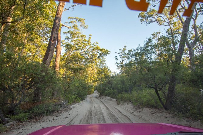 3 Day PINK4WD Tagalong Tour - Kgari/Fraser Island - Customer Feedback
