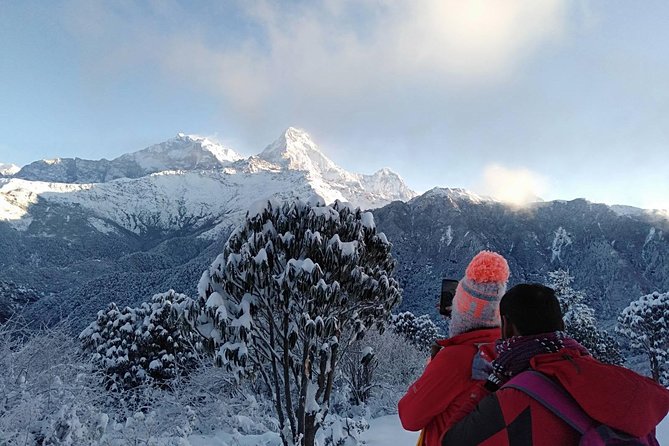3-Day Poon Hill Trek From Pokhara. - Reviews and Ratings