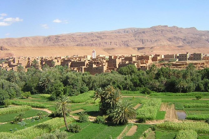 3-Day Private Desert Tour From Marrakech to Fez - Arrival in Fez