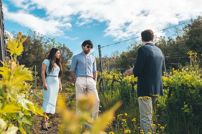 3-Day Private Experience as a Winemaker at a Wine Resort in Tuscany - Welcome Aperitif and Wine Tasting