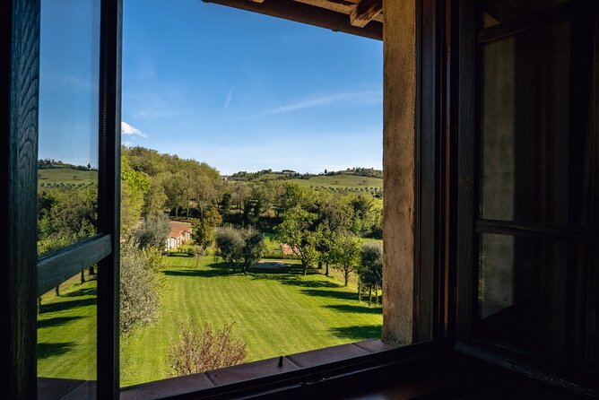3-Day Private Experience as a Winemaker at a Wine Resort in Tuscany - Olive Oil Tasting and Cooking