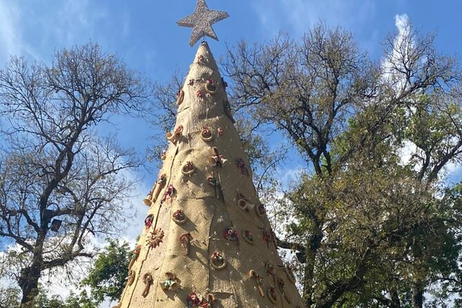 3-Day Private Guided Tour of Monarch Butterflies in Michoacan - Pickup Options