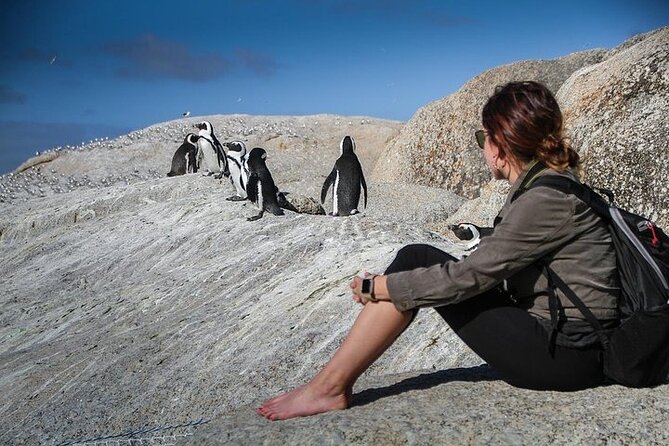 3-Day Private Guided Tour to Cape Town Top Attractions - Pricing and Inclusions