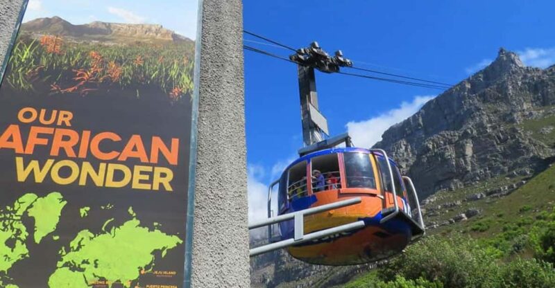 3-Day Private Guided Tour to Cape Towns Top Attractions - Itinerary Highlights