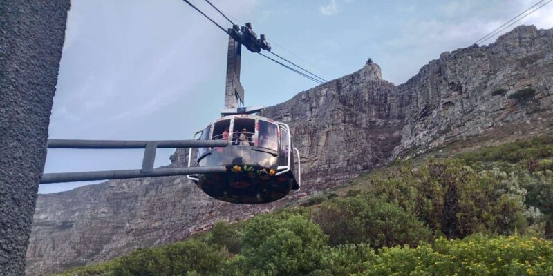 3-Day Private Guided Tour to Cape Towns Top Attractions - Included Features