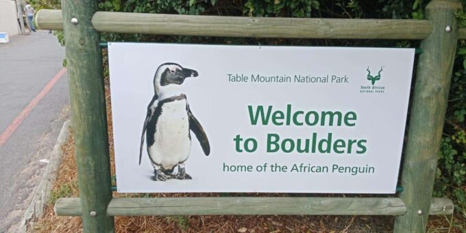 3-Day Private Guided Tour to Cape Towns Top Attractions - Frequently Asked Questions