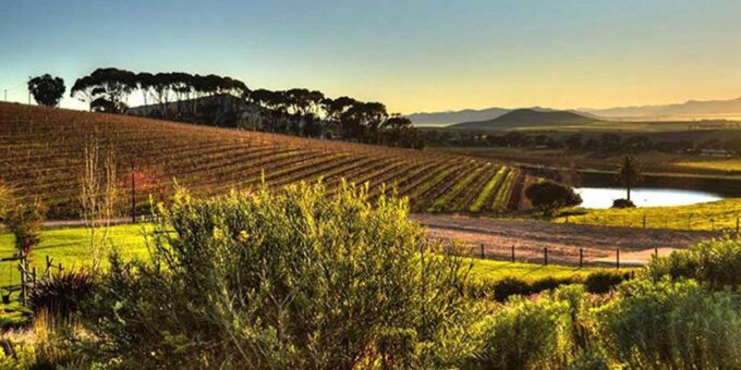 3-Day Private Guided Tour to Cape Towns Top Attractions - African Penguins and Cape Point