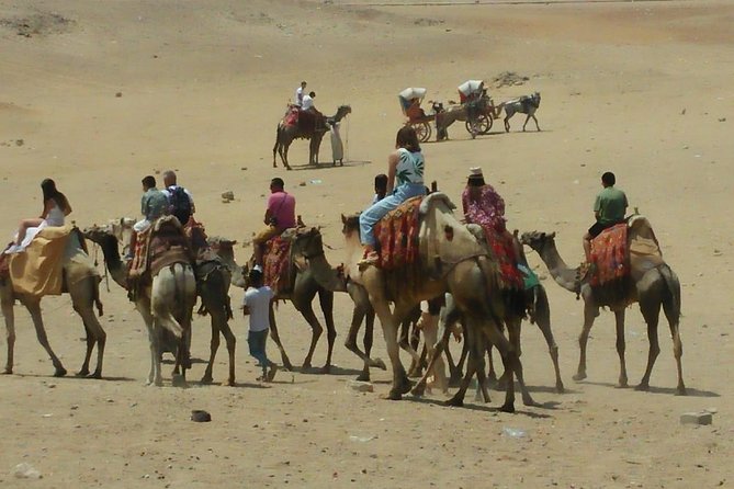 3-Day Private Guided Tour to Giza, Cairo and Alexandria Including 2 Evenings - Inclusions