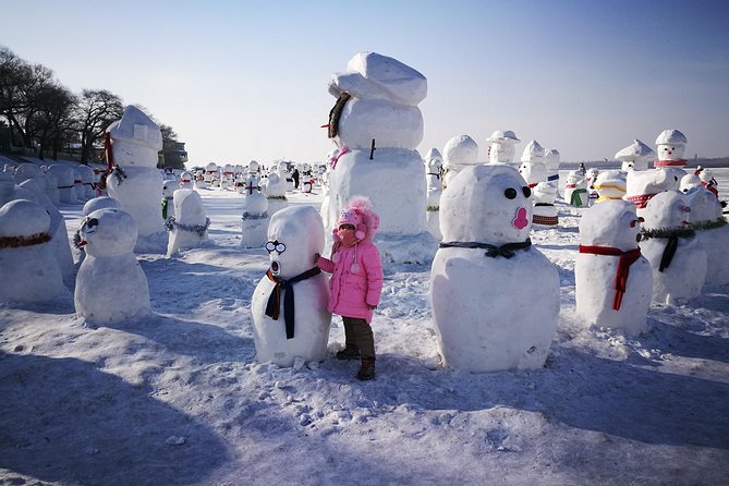 3-Day Private Harbin Ice Festival Family Holiday Tour - Tour Overview and Features
