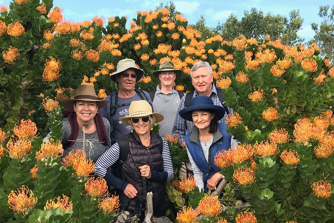 3-Day Private Hiking Trail in The Overberg - Trail Highlights and Activities
