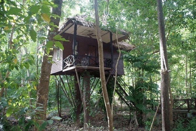 3-Day Private Khao Sok Safari From Phuket, Surat Thani or Krabi - Review Highlights