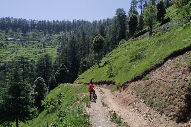 3-Day Private Mountain Bike Camp in Shimla - Key Points