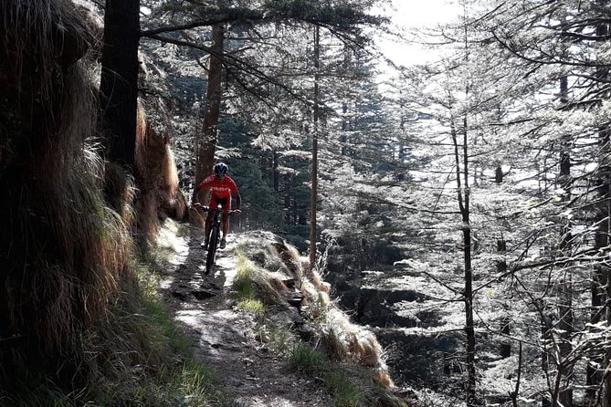 3-Day Private Mountain Bike Camp in Shimla - Booking and Cancellation Policy