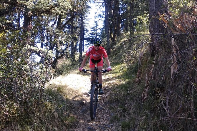 3-Day Private Mountain Bike Camp in Shimla - Detailed Itinerary and Activities