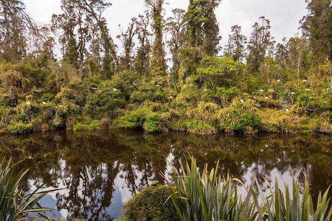 3 Day Private Photography Tour West Coast NZ Departs Queenstown - FAQs