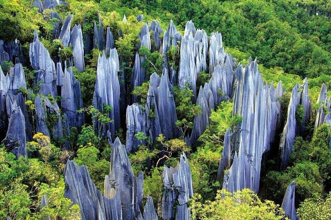 3-Day Private Relaxing Tour of Kunming Including Stone Forest - Key Points
