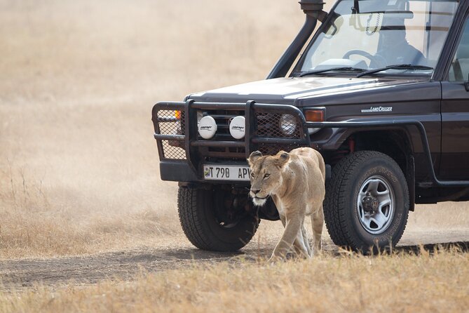 3 Day Private Serengeti Safari Tour With One Way Flight - Accommodation