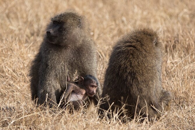 3 Day Private Serengeti Safari Tour With One Way Flight - Packing Recommendations