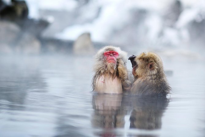 3-Day Private Tokyo and Nagano: Snow Monkeys, Tsukiji Market and Bullet Train - Itinerary Details