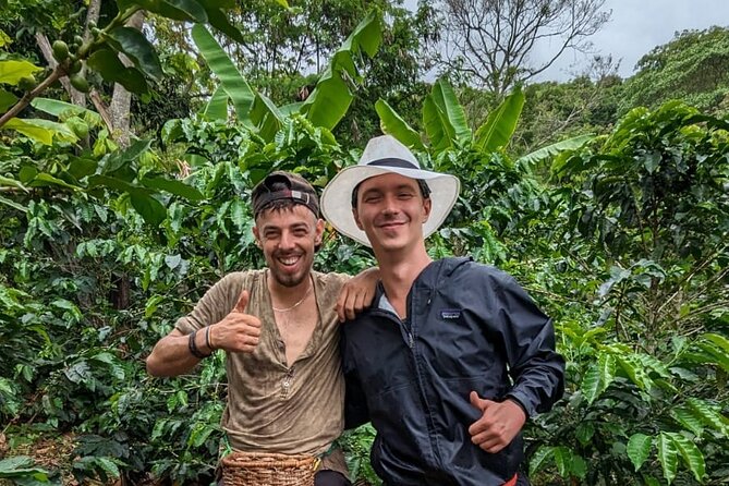 3 Day Private Tour Authentic Coffee Experience in Colombia - Exploring Filadelfias Coffee Country