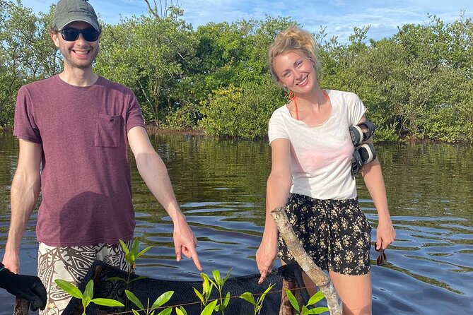 3 Day Private Tour, Crystal Clear Sea and Islands Near Cartagena - Mangrove Planting in San Onofre