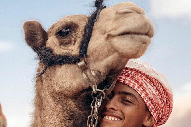 3 Day Private Tour From Amman to Madaba Dead Sea, Petra,Wadi Rum - Transportation and Accommodation