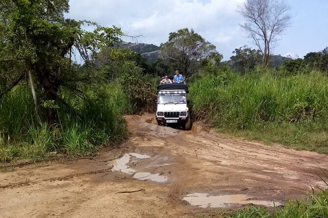3 Day Private Tour From Negombo to Sigiriya and Kandy - Sigiriya Rock Fortress