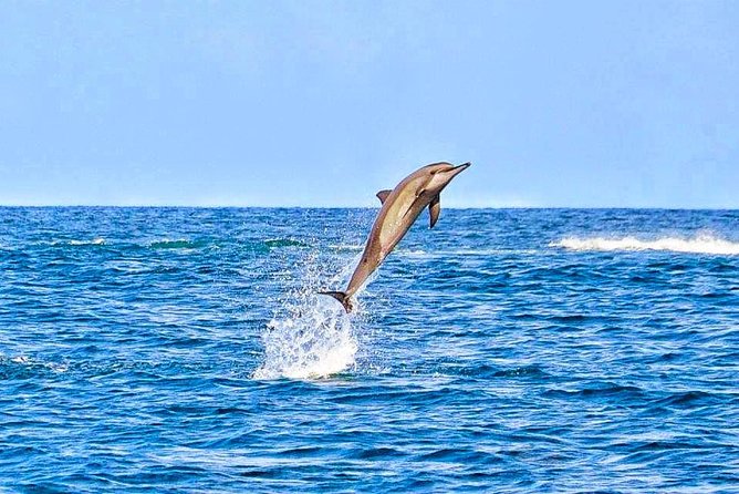 3-Day Private Tour of Mauritius Island With Optional Wild Dolphin Swim - Important Notes
