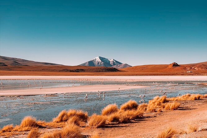 3-Day Private Tour of Uyuni Salt Flats and Colored Lagoons Roundtrip From Uyuni - Tour Overview