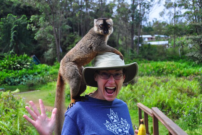 3-Day Private Tour to Andasibe National Park - Inclusions