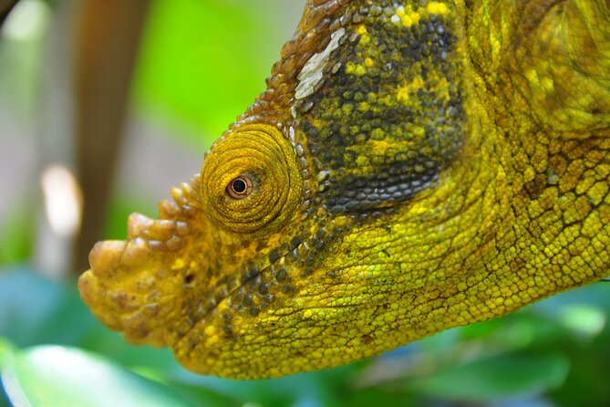3-Day Private Tour to Andasibe National Park - Palace Tour