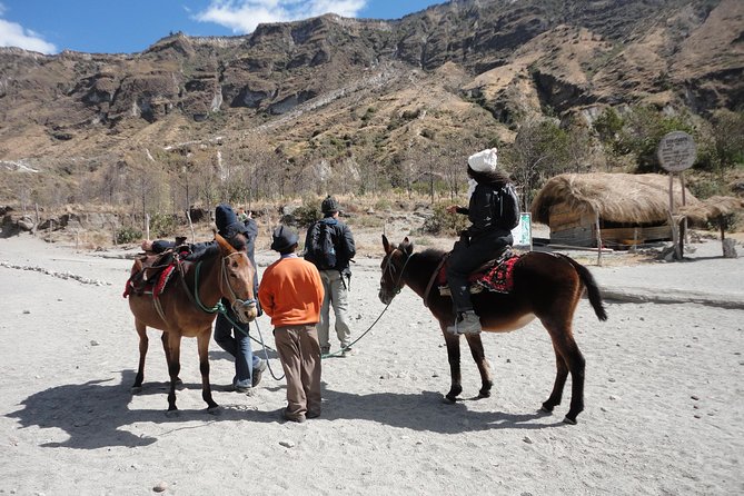 3-Day Private Tour to Cotopaxi Volcano, Quilotoa Lagoon & Baños - Transportation and Logistics