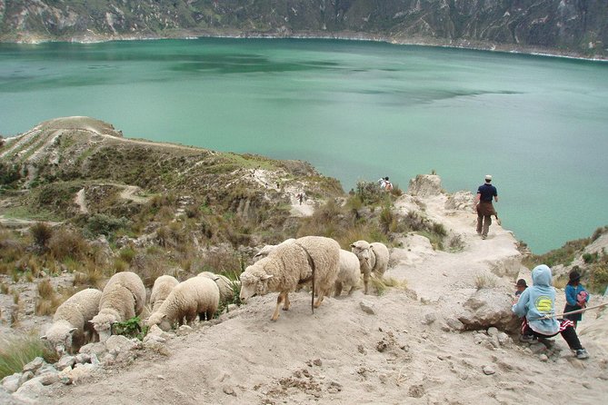 3-Day Private Tour to Quilotoa Lagoon & Baños De Agua Santa - Accommodation and Dining