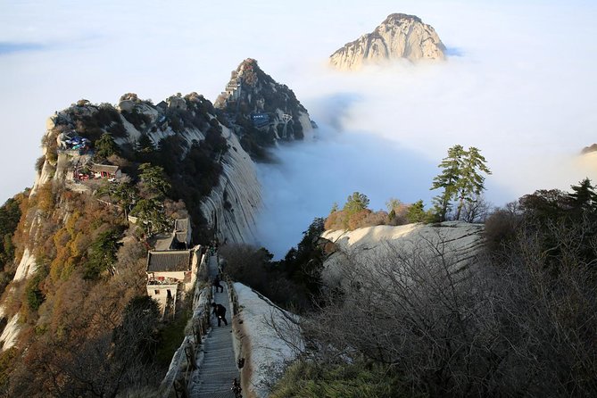 3-Day Private Xian Tour Including Terracotta Warriors And Huashan - Reviews and Ratings