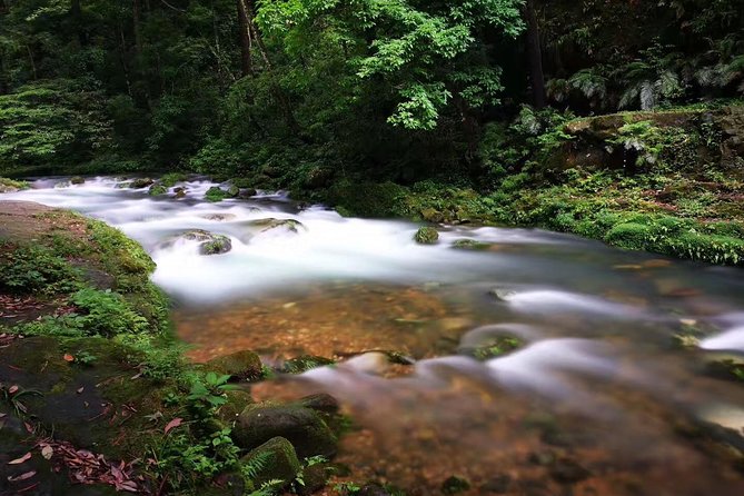 3-Day Private Zhangjiajie In-depth Exploring Tour - What to Expect