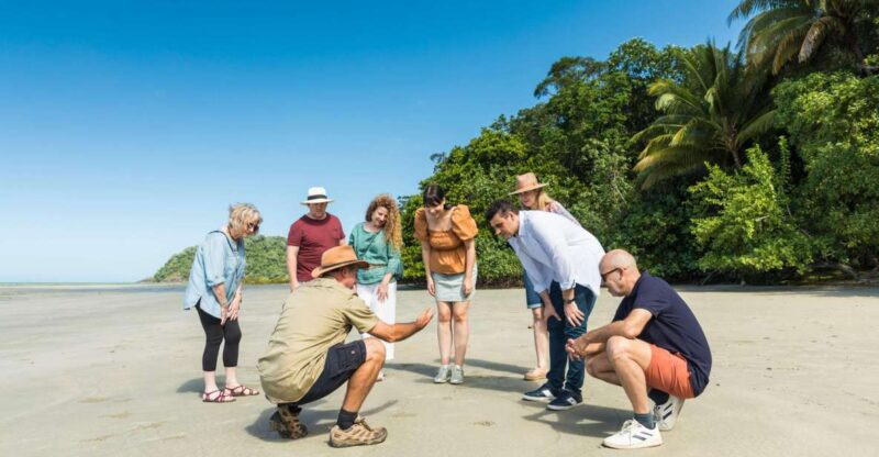 3-Day Reef, Rainforest and Outback Package - Rainforest Exploration