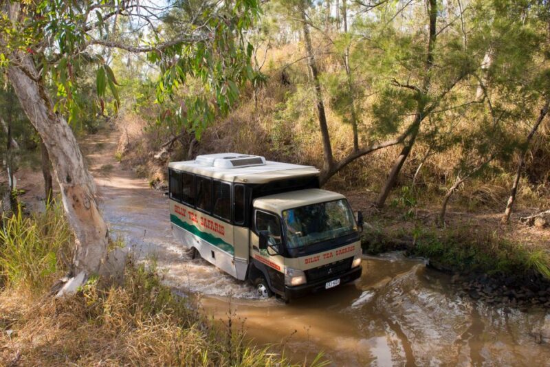 3-Day Reef, Rainforest and Outback Package - Outback Adventure