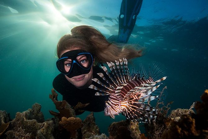 3 Day Reef, Rainforest and Outback Tour - Pickup and Meeting Points