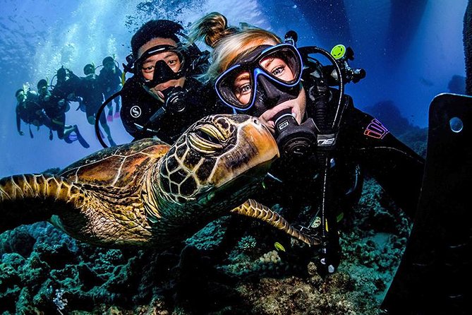 3 Day Reef, Rainforest and Outback Tour - Dietary Requirements