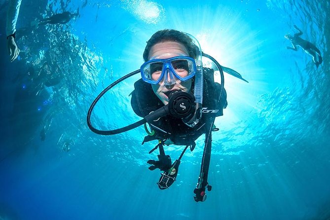 3 Day Reef, Rainforest and Outback Tour - Tour Accessibility