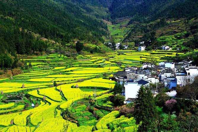 3-Day Remarkable Tour of Shanghai Review - Dietary Considerations