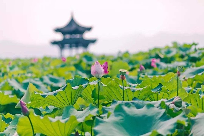 3-Day Remarkable Tour of Shanghai Review - Recap