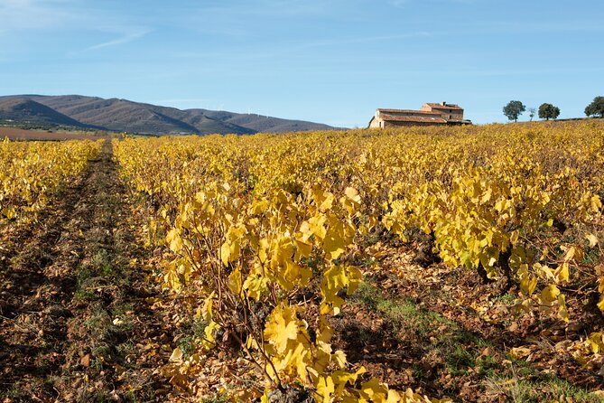 3-Day Rural Experience in the Valley of Ocón - Meeting and End Points