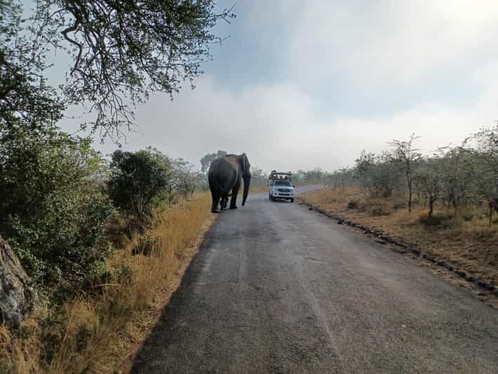 3 Day Safari In Kruger National Park - Key Points