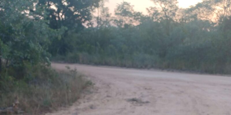 3 Day Safari In Kruger National Park - Cancellation Policy and Pickup
