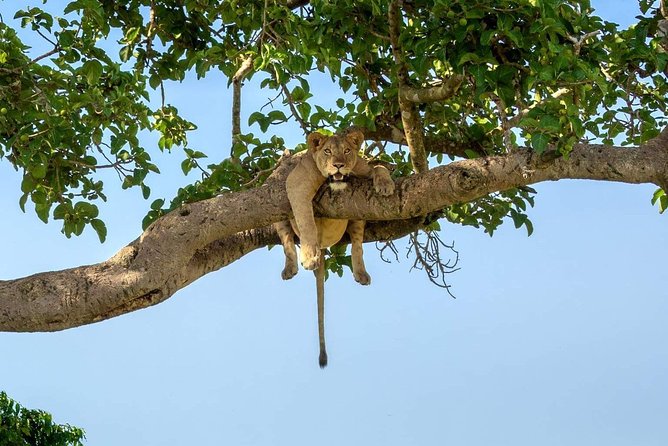 3-Day Safari to Ngorongoro, Tarangire & Lake Manyara NP - Pickup and Accessibility